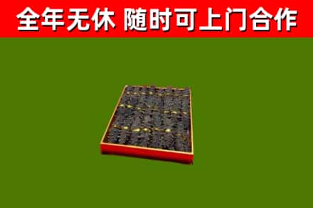 鼓楼区回收海参